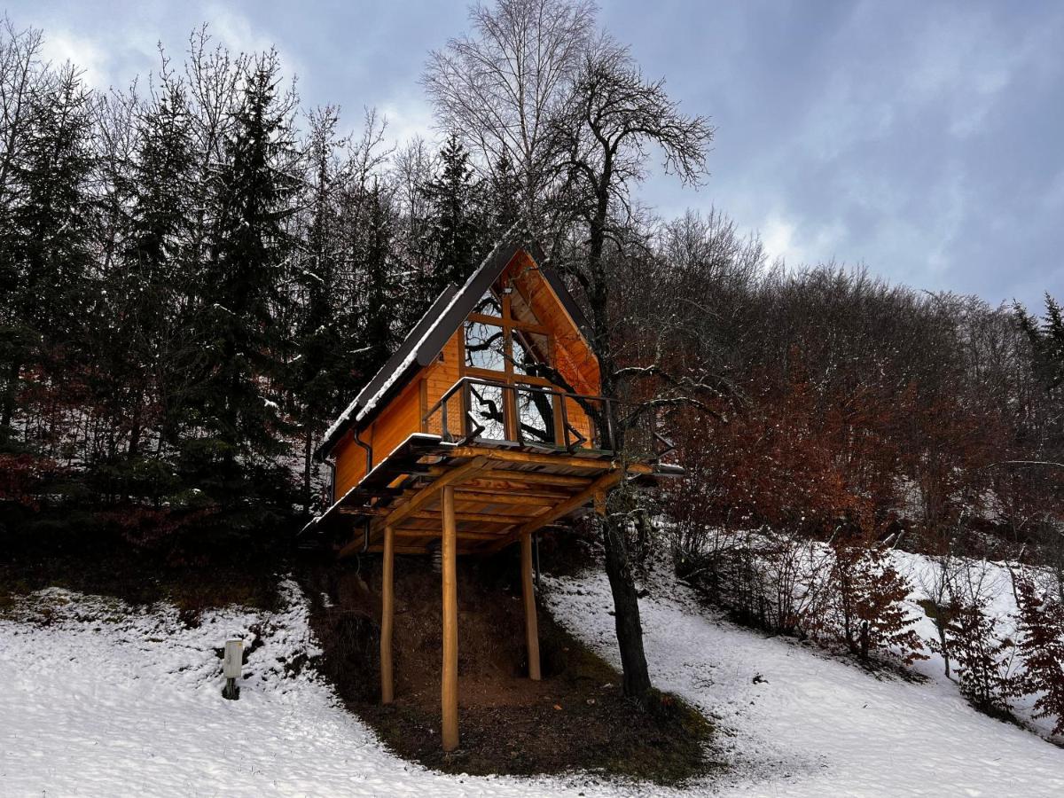 Tara Place - Camp Rabrenovic Mojkovac Exterior photo