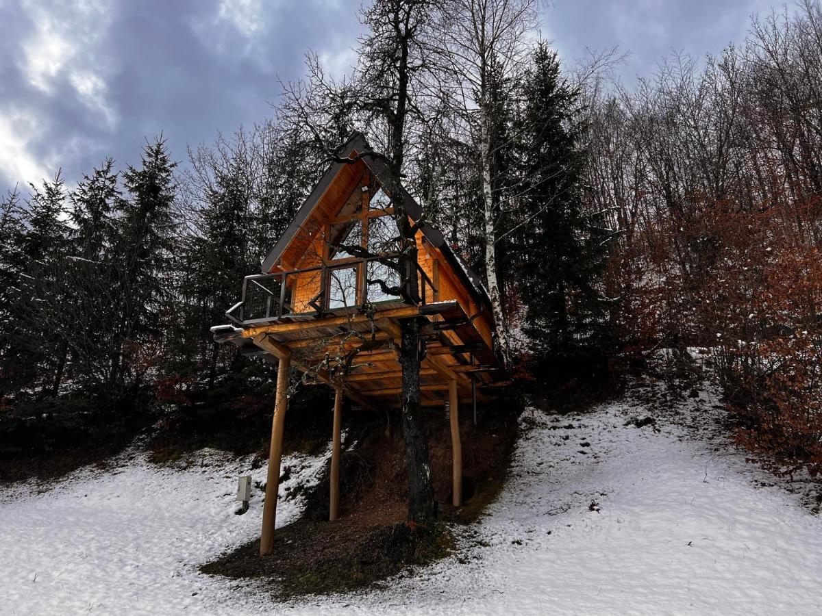 Tara Place - Camp Rabrenovic Mojkovac Exterior photo